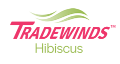 Logo_tradewindshibiscus_trademark_vertical_color-redgreen_72ppi