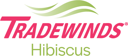 Tradewinds Hibiscus